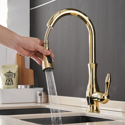 CasaFinesse™ Modern Kitchen Sink Faucet