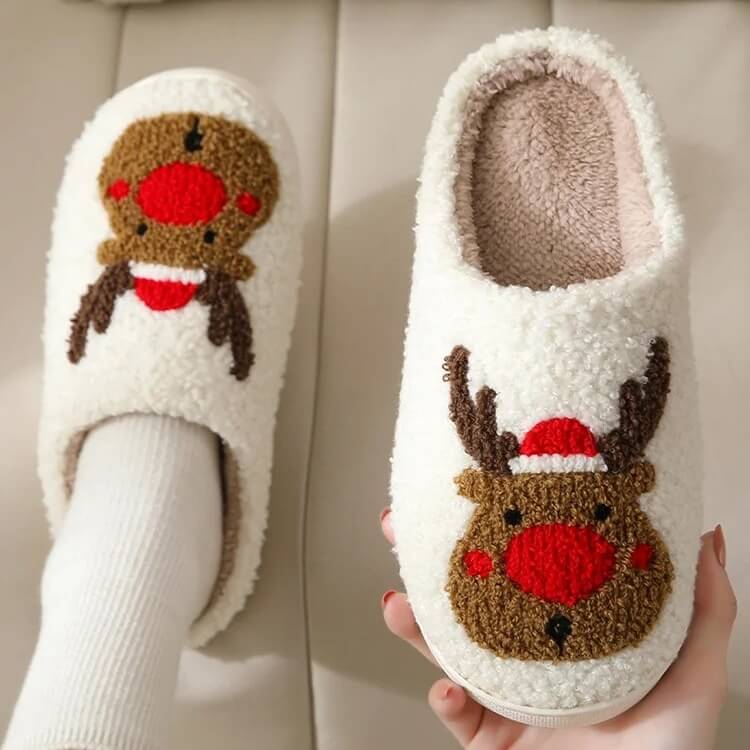 winter slippers