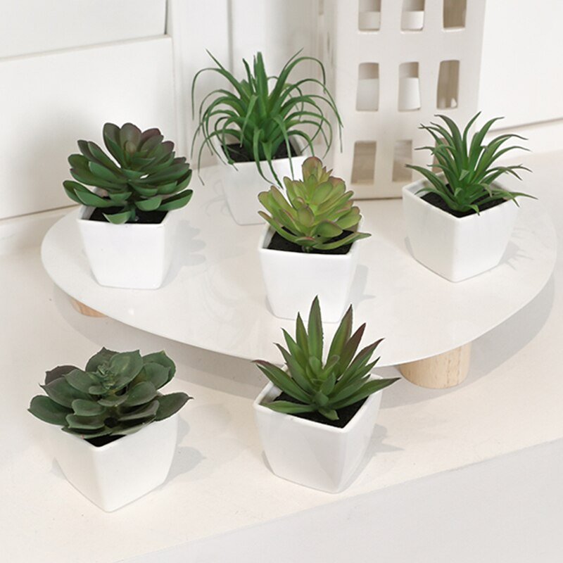 CasaFinesse™ 6pcs Mini Evergreen Artificial Succulents