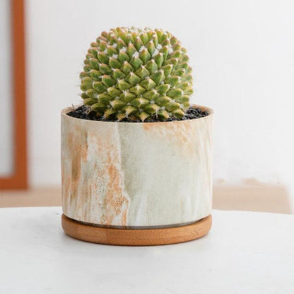 CasaFinesse™ Succulent Marble Pots