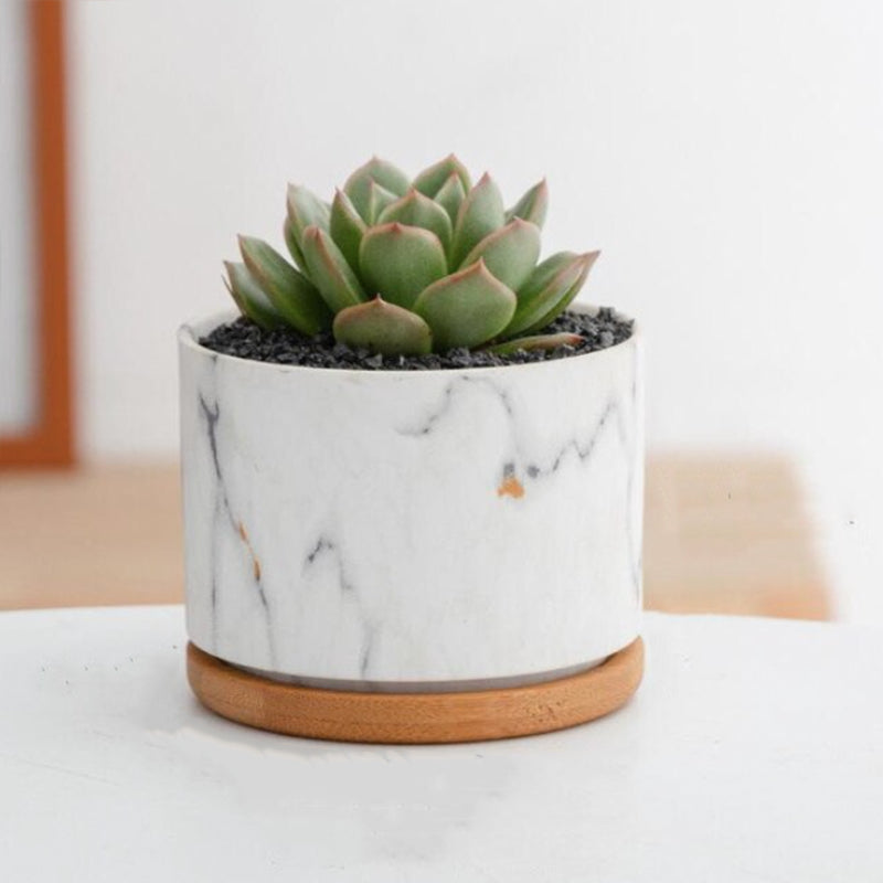 CasaFinesse™ Succulent Marble Pots