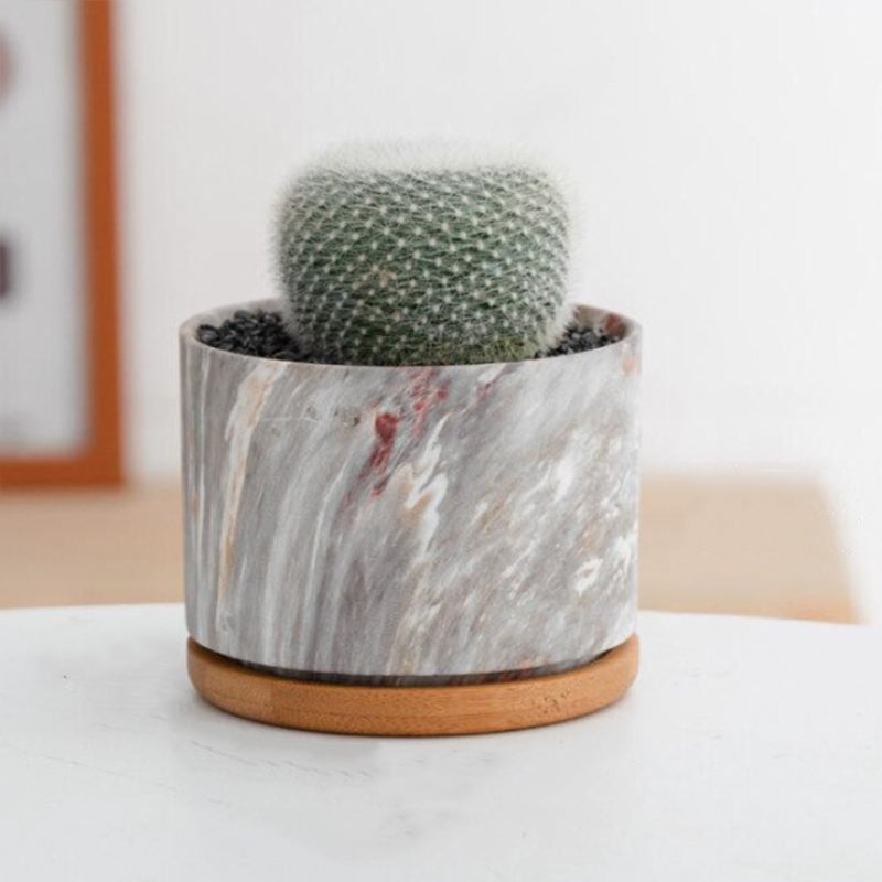 CasaFinesse™ Succulent Marble Pots