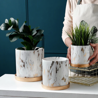 CasaFinesse™ Marble Ceramic Succulent Pots