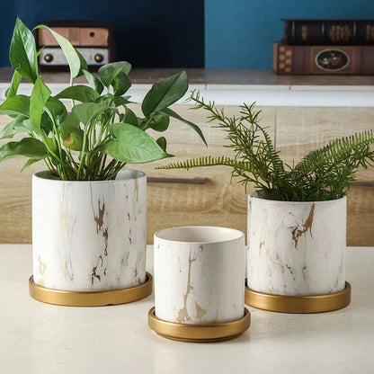 CasaFinesse™ Marble Ceramic Succulent Pots