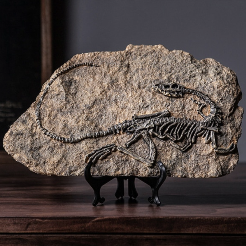 CasaFinesse™ Dinosaur Fossil