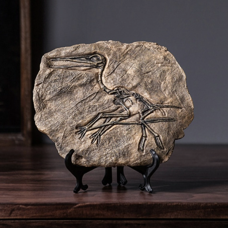 CasaFinesse™ Dinosaur Fossil