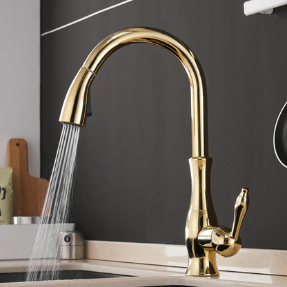 CasaFinesse™ Modern Kitchen Sink Faucet