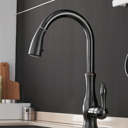 CasaFinesse™ Modern Kitchen Sink Faucet