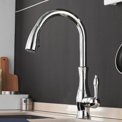 CasaFinesse™ Modern Kitchen Sink Faucet