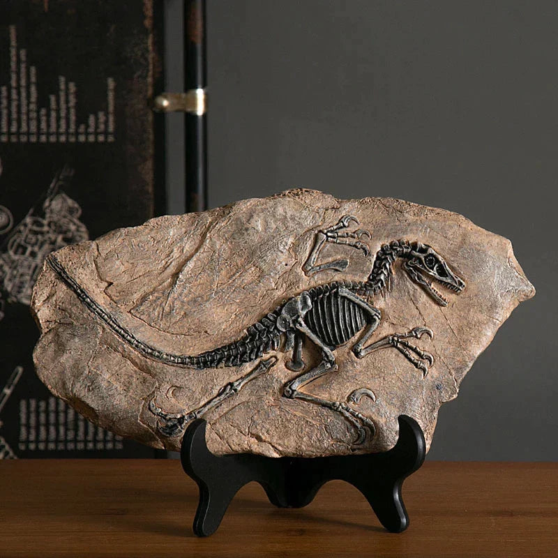 CasaFinesse™ Dinosaur Fossil