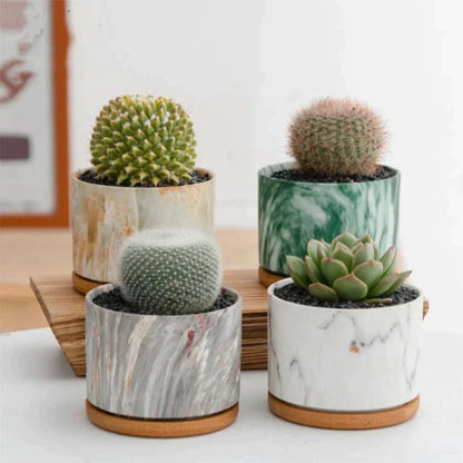 CasaFinesse™ Succulent Marble Pots