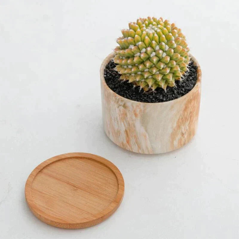 CasaFinesse™ Succulent Marble Pots